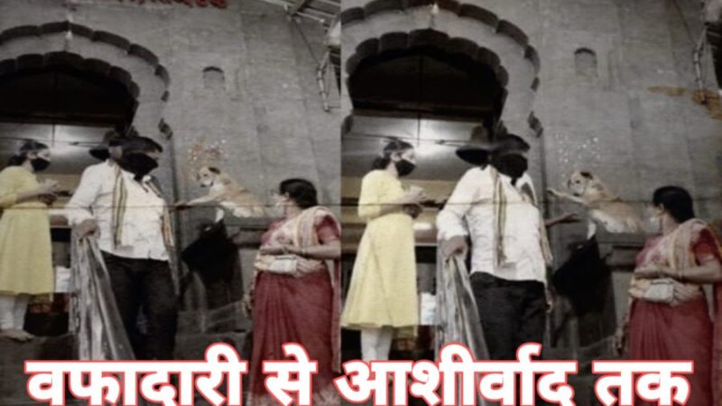 कुत्ते की वफ़ादारी और आशीर्वाद की रिपोर्ट